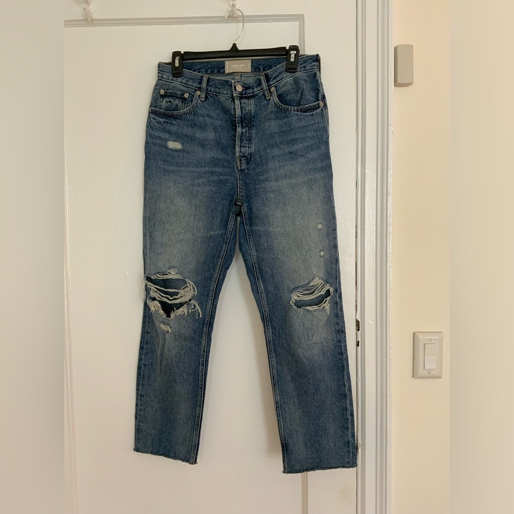 Everlane Cheeky Crop Distressed Denim Jeans